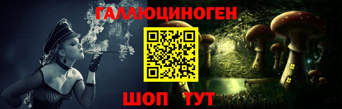 Псилоцибиновые грибы Psilocybine cubensis Реж